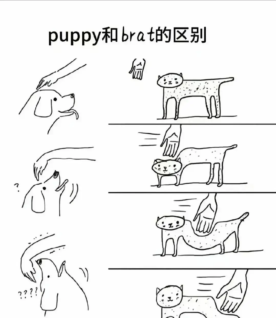 西檬之家-圣水是什么？了解字母圈中的特殊术语与安全共识