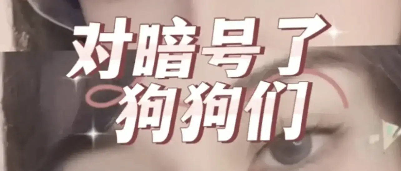 [西檬之家] 新手在字母圈：从入门到精通的核心术语解析