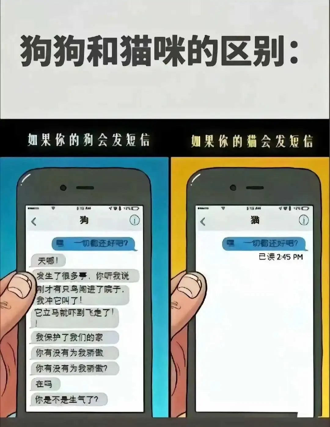 西檬之家-字母圈的DT是什么意思？新人入圈指南