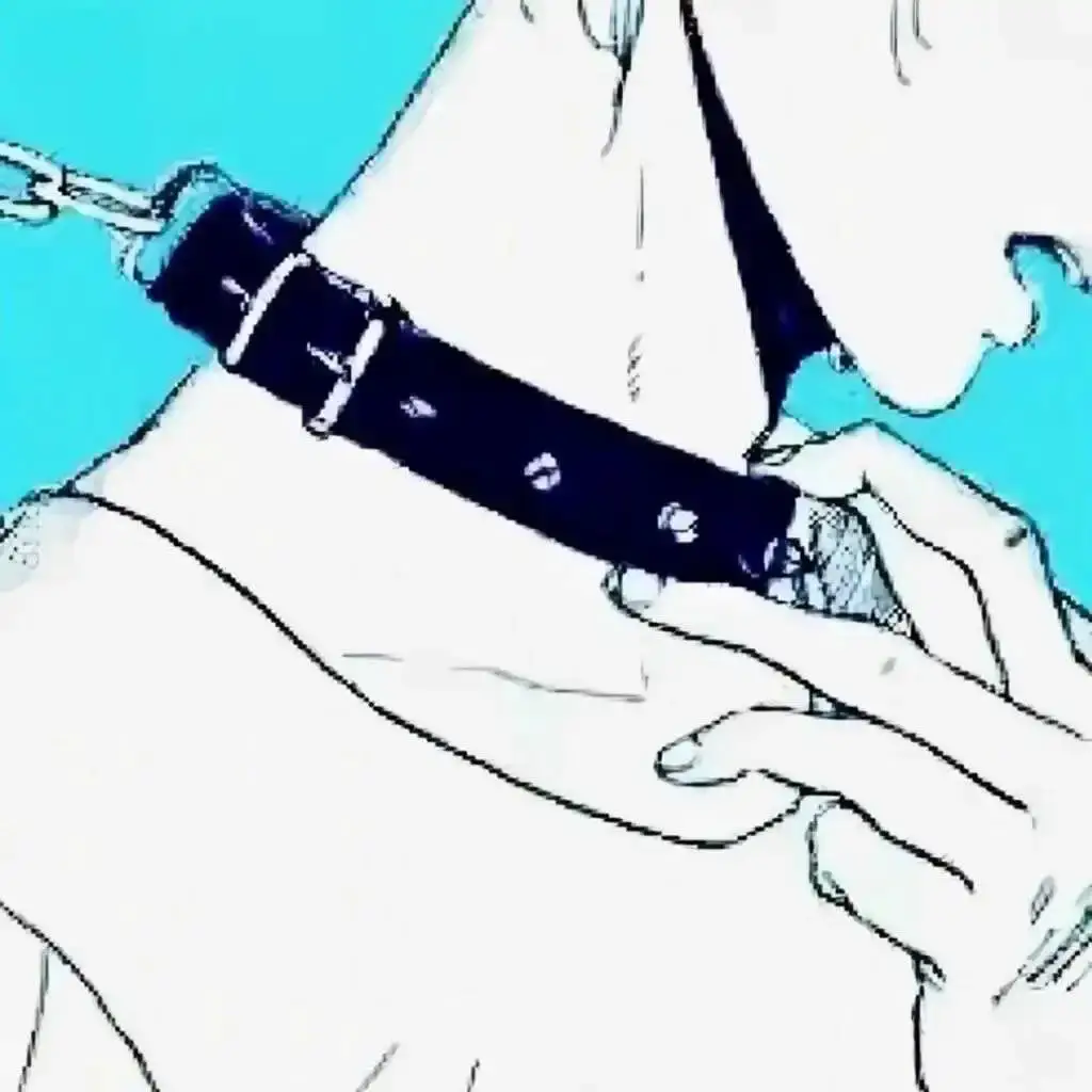 PE：实用指南