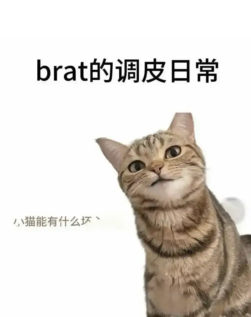 西檬之家-恋足癖是什么？在BDSM中探索足部情欲的边界