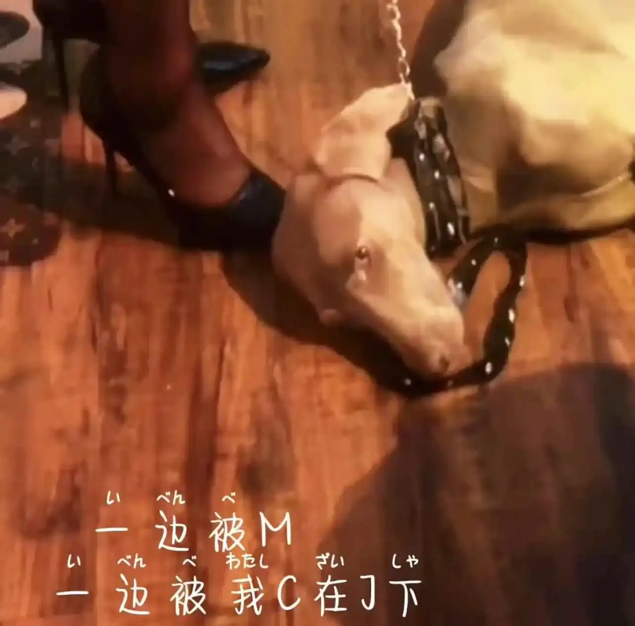 S倾向 - 2023_11_07_20_50_IMG_8911