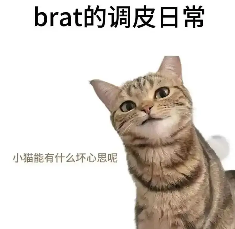 圣水 - 微信图片_20251203212836_109_19